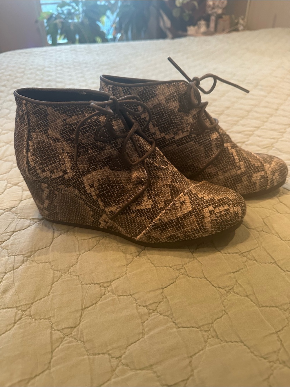 TOMS Snake-Print Lace-Up Wedge Booties in Gray and Cream